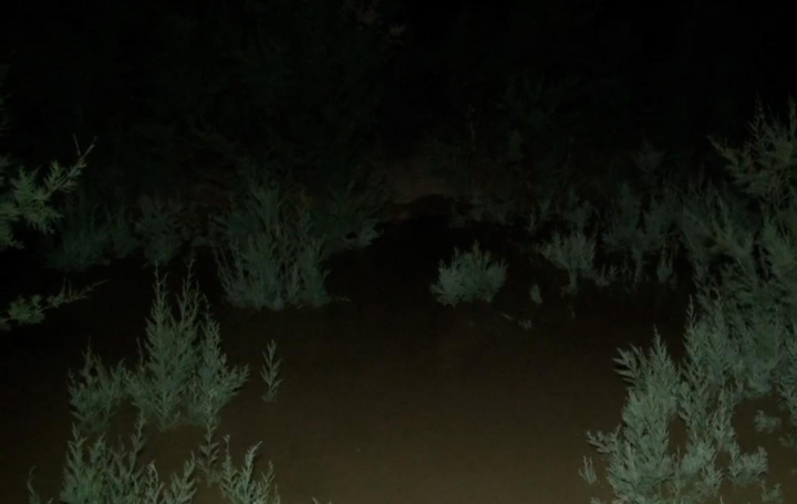 Pirsaat çayından sel keçib, nar bağları su altında qalıb