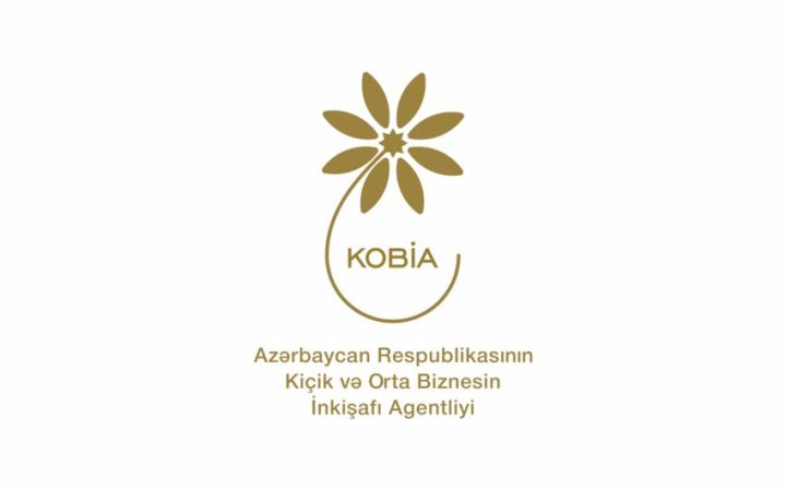 KOBİA: Orta və kiçik sahibkarlara verilən kreditlər azalıb