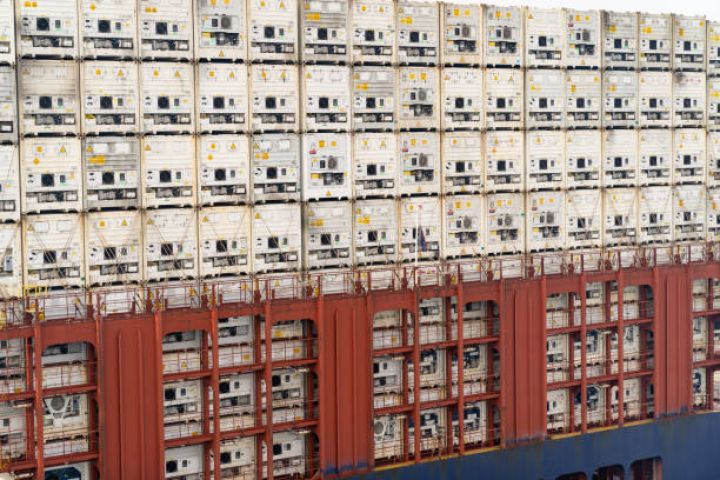 “Katora 44” şirkətinin Türkmənistandan idxal etdiyi 56 ton pomidorun məhv olunması barədə qərar qəbul edilib