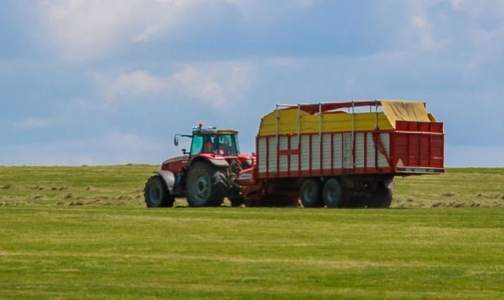 Yazlıq əkinlərin bəyanı üçün son tarix 31 maydır.