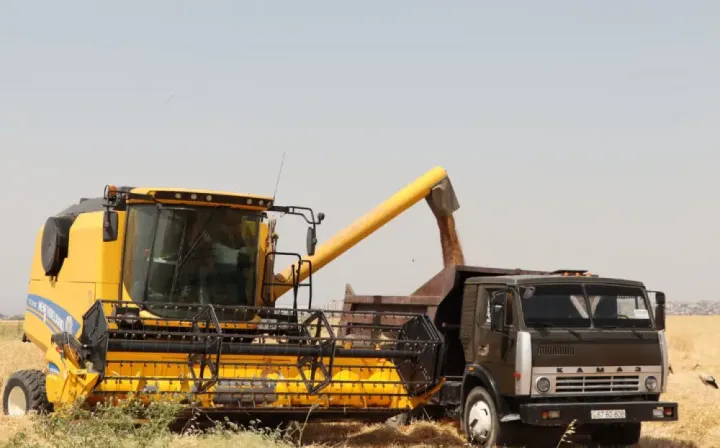 Naxçıvanda fermerlərə taxıl əkinləri üçün 3,7 milyon manatdan çox subsidiya ödənilib