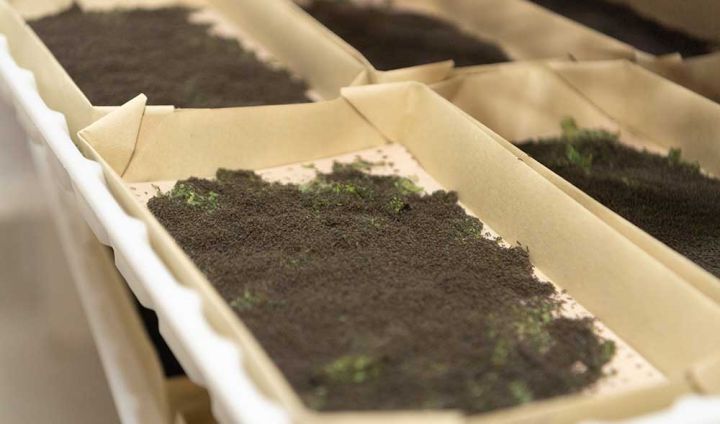 Dövlət tərəfindən 6000 qutu paylanacaq