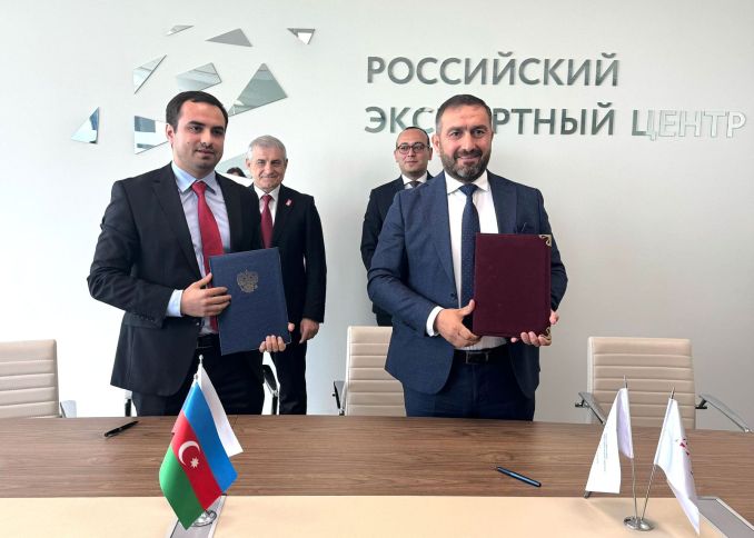 Azərbaycan şirkəti Dağıstanda zeytun bağı salacaq