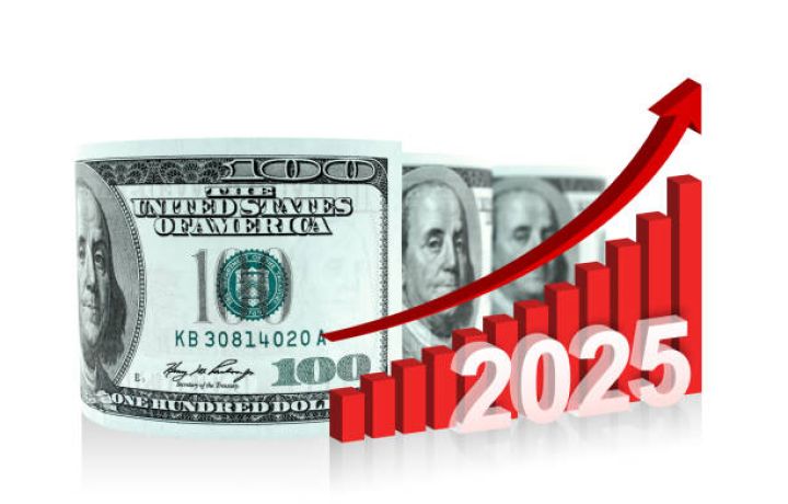 "2025-ci il dollar və ABŞ səhmlərinin ili olacaq"