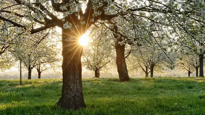 Aprelin 16-da gözlənilən hava şəraiti - Bəzi yerlərdə az yağış yağacağı ehtimalı var