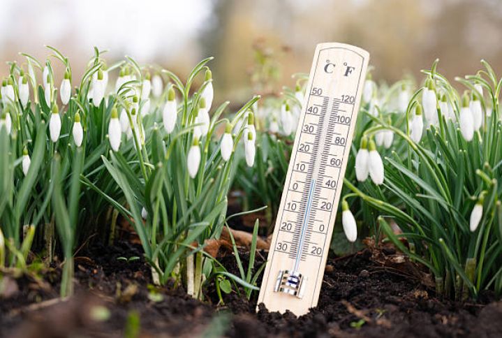 1 Mayın hava proqnozu - BAKIDA 19 DƏRƏCƏYƏDƏK, RAYONLARDA 25 DƏRƏCƏYƏDƏK İSTİ GÖZLƏNİLİR