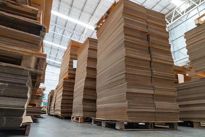 Xalq artisti karton-kağız biznesinə daxil olub