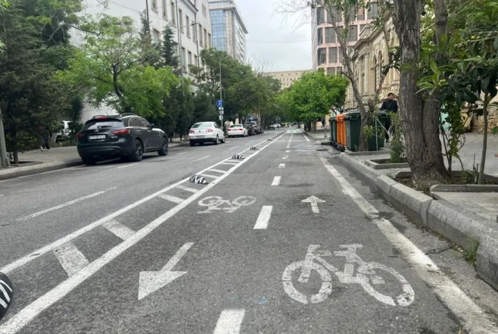 Prezident: "Bəziləri velosiped zolaqlarının yaradılmasından narazıdır. Amma ..."