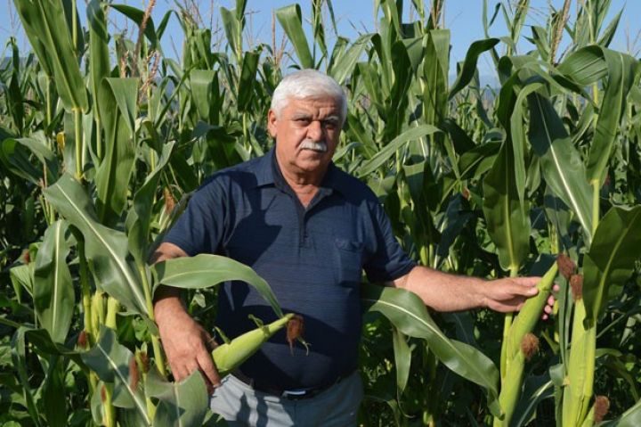 Respublikada birincidir