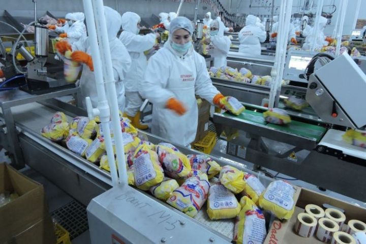 Azərbaycanın ən iri quşçuluq fabriki bölünür - YENİDƏN TƏŞKİL OLUNACAQ