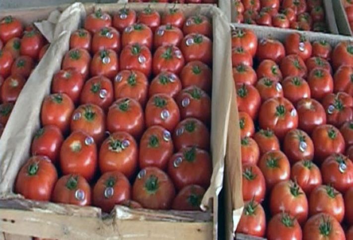 “Məhsulumuzu Azərbaycan brendi altında Rusiya bazarlarına göndəririk"