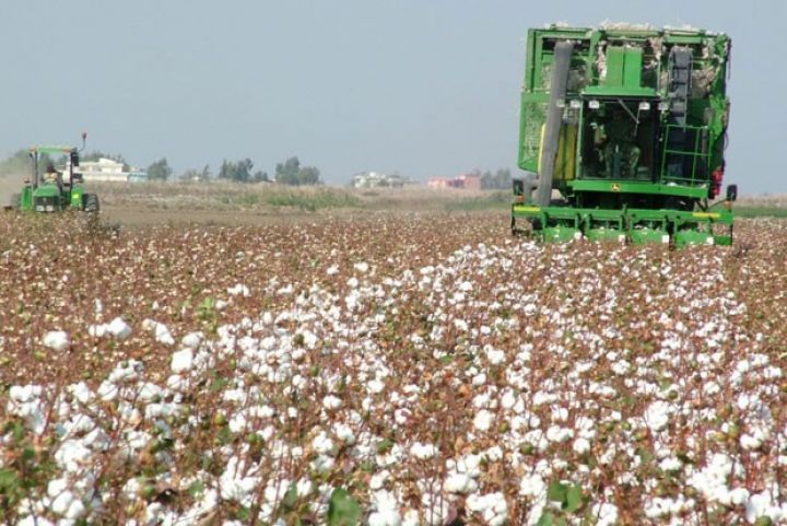 60 min tona yaxınlaşdı