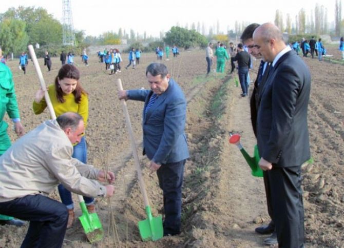 Aztəminatlı ailələr üçün meyvə bağları salınıb