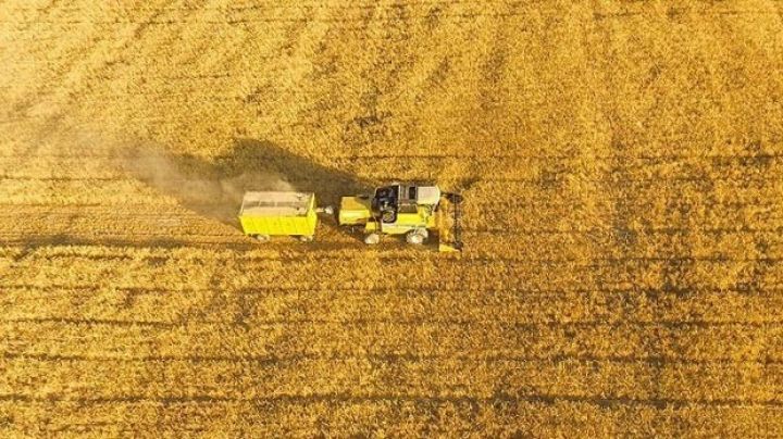 10 min yeni iş yeri yaradacaq 37 iri layihə