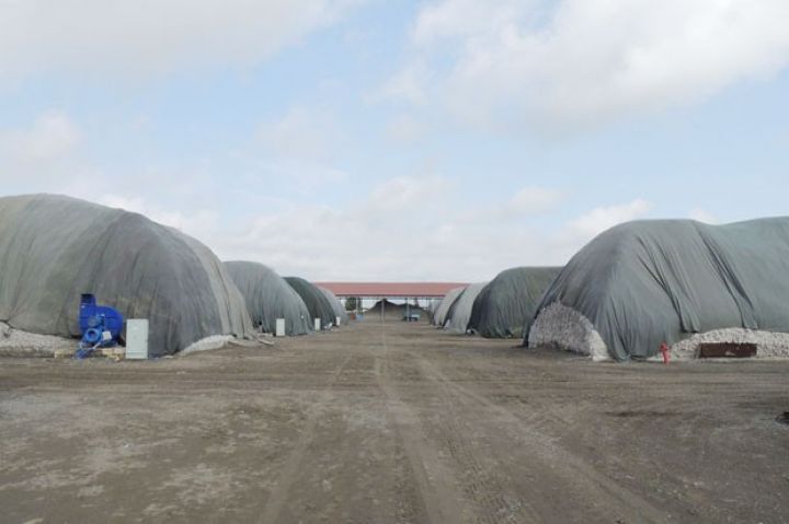 Bərdə  pambığın orta məhsuldarlığına görə öndədir