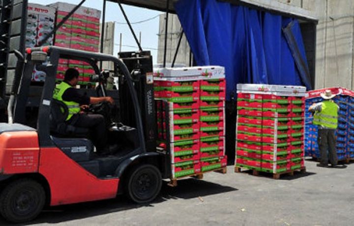 Sıfır səviyyədən 10 milyon dollardan çox ixraca malik olublar - YENİ ŞİRKƏTLƏR