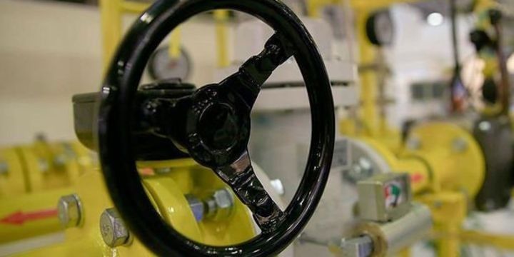 Ən çox Rusiyadadır, dünyaya 52 ildən artıq çatacaq