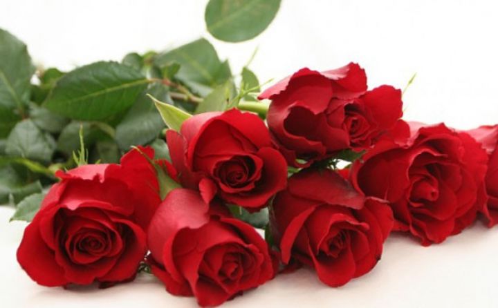 Xaricdən gül idxalını azaldacaq növbəti layihə - START VERİLİB