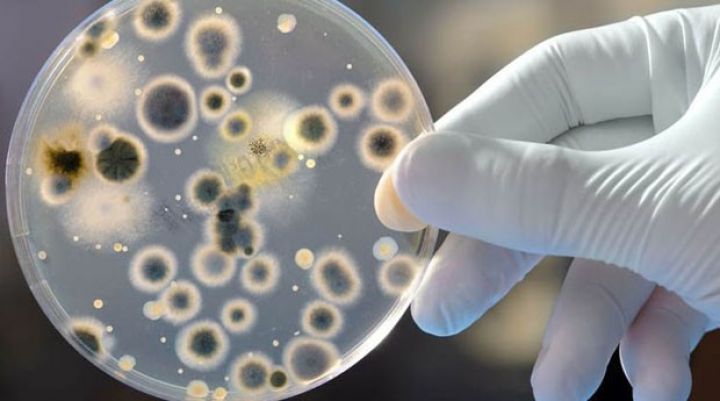 AQTA xaricdə təhsil almış gəncləri yüksək məvaciblə işə dəvət edir