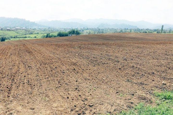 İrimiqyaslı çöl torpaq tədqiqatı işlərinə başlanılacaq