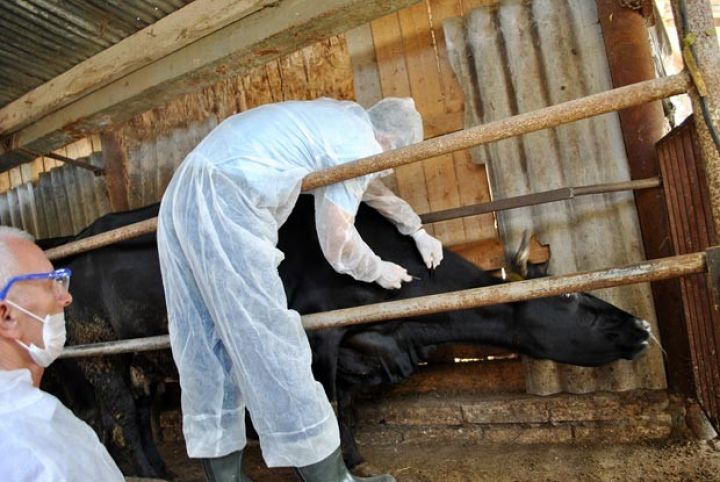 "Fermerlər şəraitsiz yerdə saxlanılmış dərmanlardan istifadə edirlər"