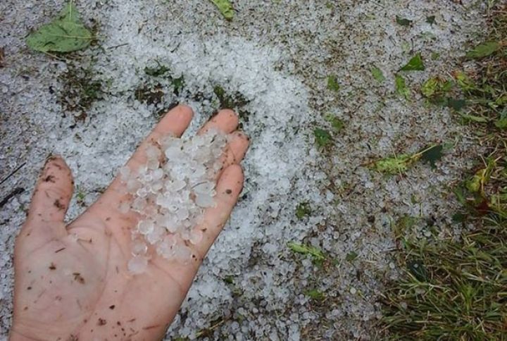 Zaqatalaya dolu yağıb, kənd təsərrüfatına ziyan dəyib