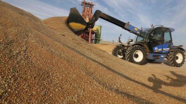 Dövlət Toxum Fondunun emal zavodu tikilib