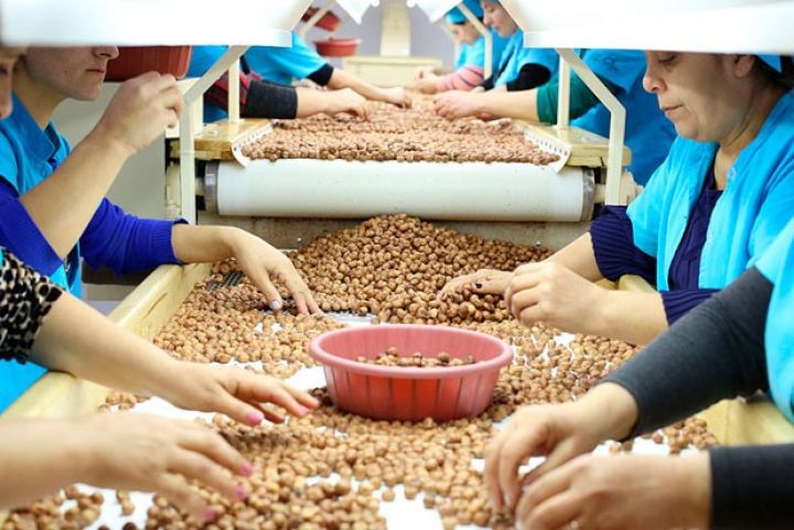 Fındıq məhsulunun Latviyaya ixracına dair müqavilə imzalanıb