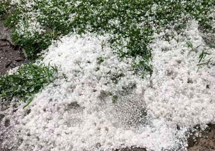 Oğuza güclü dolu yağıb, əkin sahələrinə ziyan dəyib