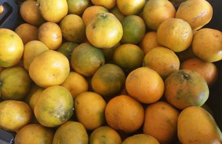 500 kq naringi məhv edilib