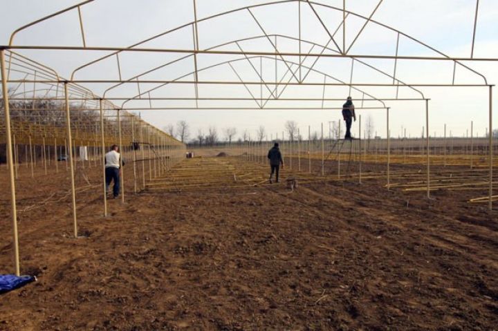 Yeni istixanalar yaradılır