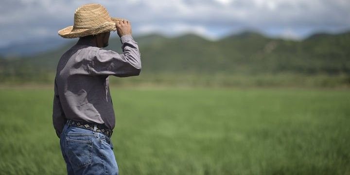 Fermerlərə 108 milyon manat subsidiya ödənilib