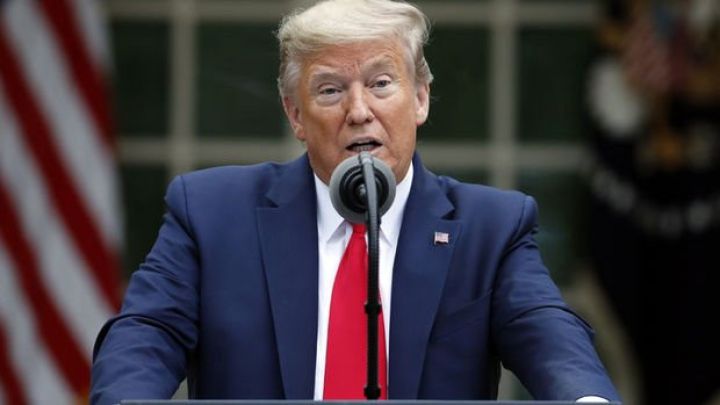 "Peyvənd 2020-ci ilin sonuna qədər hazır olacaq"