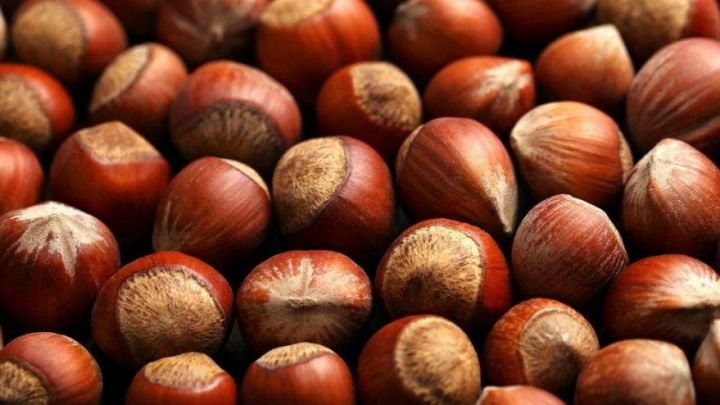 "Fındıqçılıqda dayanıqlı bioenerji variantlarının öyrənilməsi ilə bağlı araşdırma hökumətə təqdim edilib"