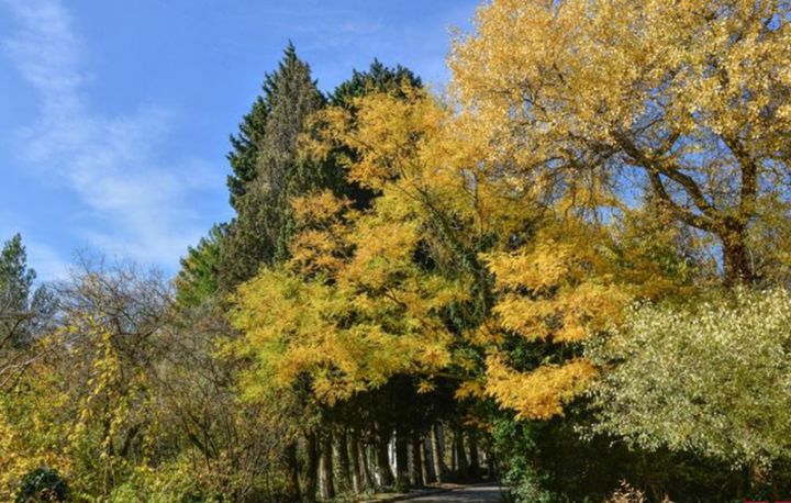 Sabahın hava proqnozu