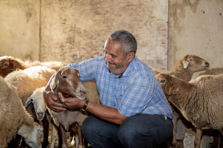 Aztəminatlı ailələr üçün kiçik təsərrüfatlar qurulur