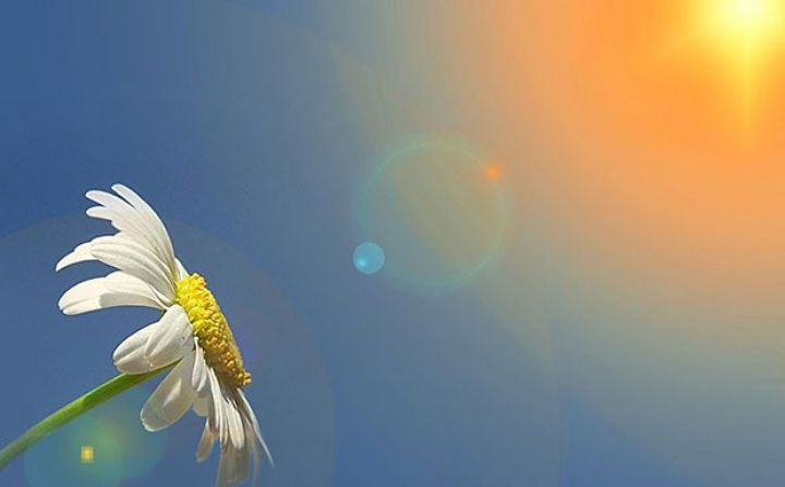 Temperatur yüksəlir 