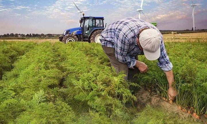 Fermerlərə girovsuz kreditlər veriləcək