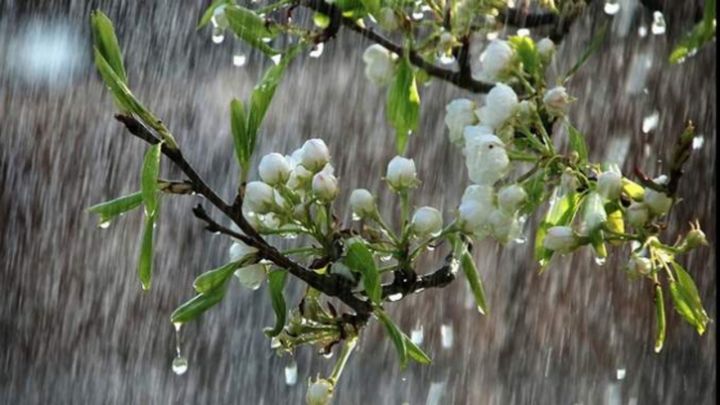 Sabaha gözlənilən hava proqnozu açıqlanıb