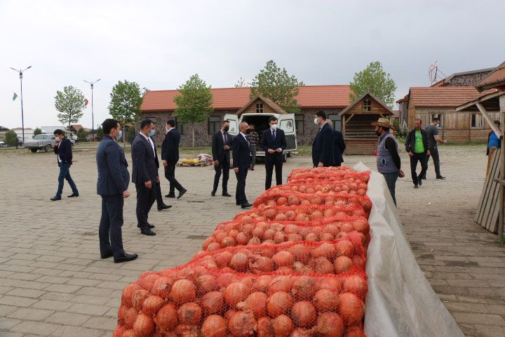 Veysəloğlu tərəvəz məhsullarını tarladan alacaq, qiymətlər düşəcək