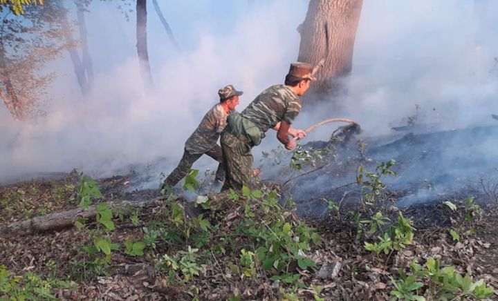 FHN: Yardımlıda meşə zolağında yanğının söndürülməsi əməliyyatları davam edir