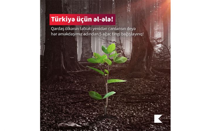 Kapital Bank meşələrin bərpası üçün Türkiyəyə dəstək göstərdi