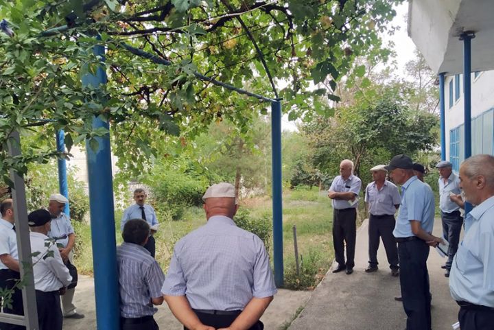 1 hektar taxıl sahəsini sığortalamaq 5,5 manata başa gəlir