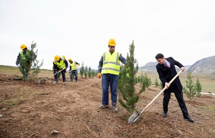 İlham Əliyevin 60 illik yubileyi  münasibətilə "Kristal Abşeron" ağacəkmə aksiyası keçirib