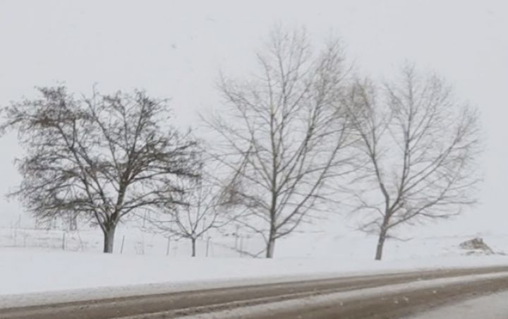 Hava şəraiti ilə bağlı növbəti xəbərdarlıq!