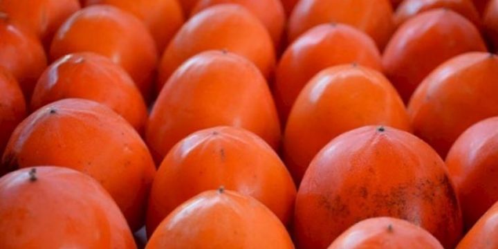 Azərbaycandan Türkiyəyə güzəştli şərtlərlə xurma ixrac ediləcək