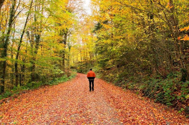 Sabahın hava proqnozu açıqlandı