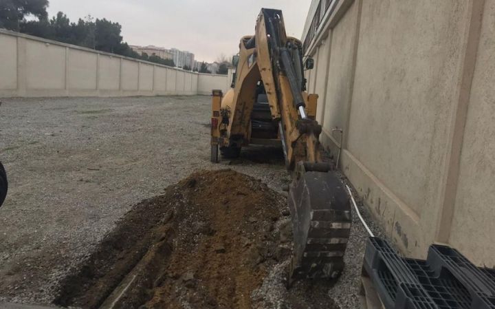 Sabiq deputatın Bakıda ağacları qanunsuz kəsdirməsi ilə bağlı cinayət işi açıldı