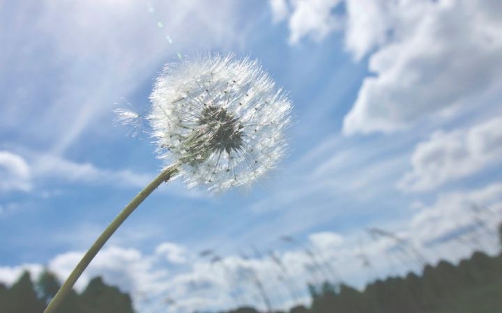 Sabahın hava proqnozu açıqlandı
