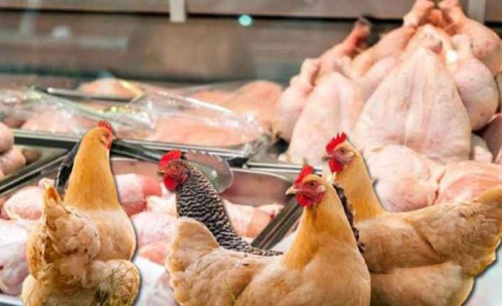 “Kənd toyuğu” hara, 2-ci növ ət hara?"